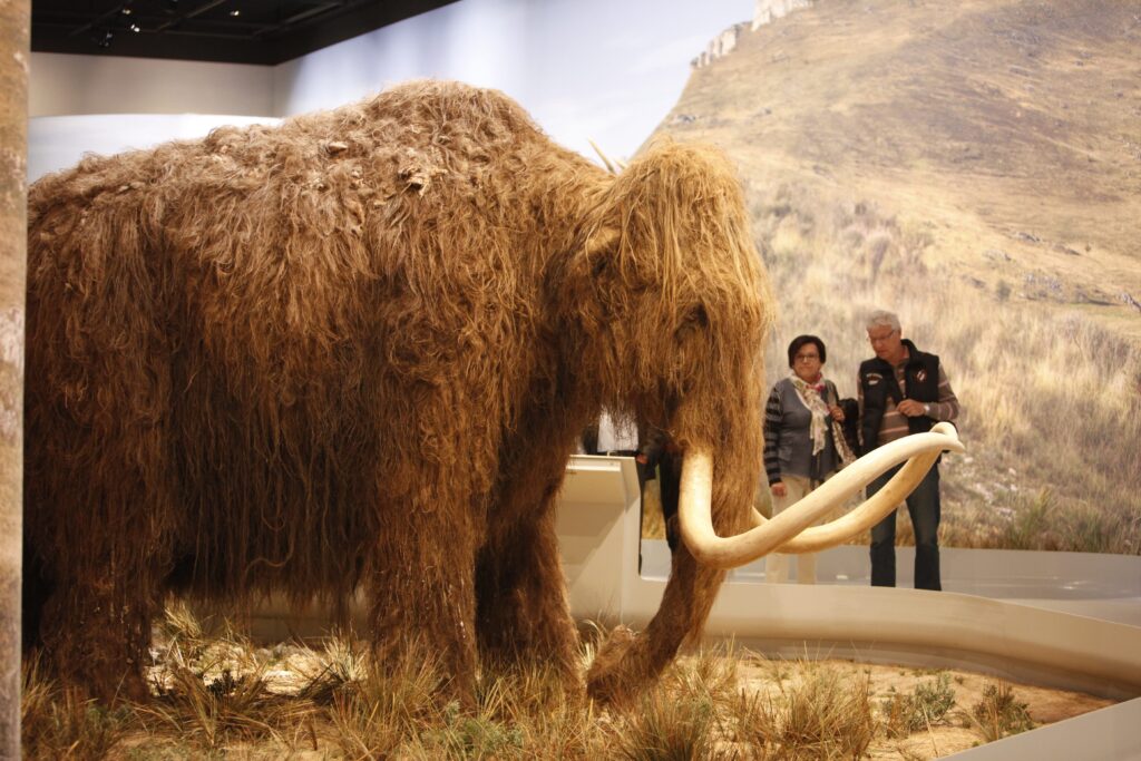 (Photos by Patrick Aventurier)